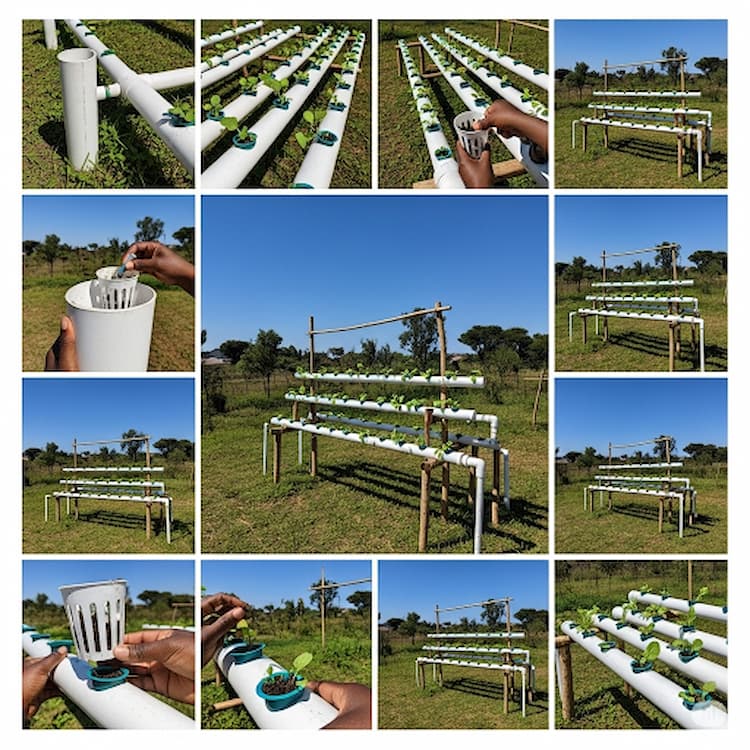 DIY hydroponic farming in Kenya – simple setup for beginners using local materials